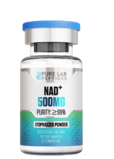 NAD+ 500mg 1 NAD+ 500mg